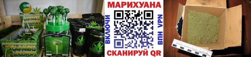 кракен как зайти  как найти закладки  Колпашево  Cannafood конопля 