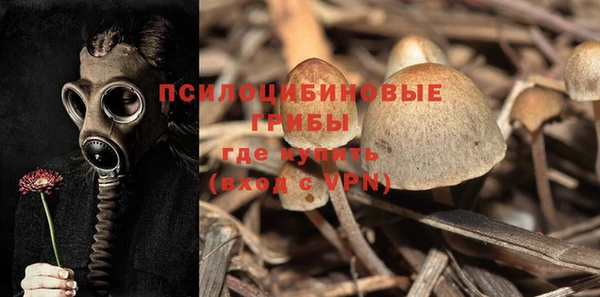 мдпв Балабаново
