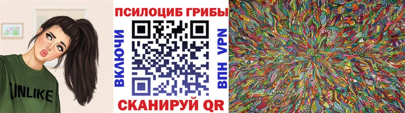 мориарти телеграм  Колпашево  Галлюциногенные грибы мицелий  МЕГА ссылки 